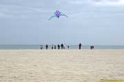 Cervia Cup - Euro Cup 2013 - 330